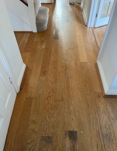 Image 11 before Floor restore South West wood floor sanding cleaning