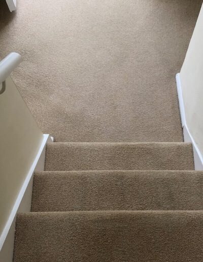 IMG_5515 after Floor Restore South West Comercial & domestic carpet cleaning 600 400