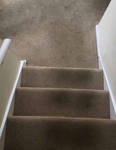 IMG_5515 before Floor Restore South West Comercial & domestic carpet cleaning 600 400